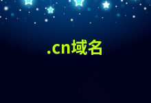 cn域名规则是什么